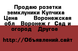 Продаю розетки земклуники Купчиха › Цена ­ 30 - Воронежская обл., Воронеж г. Сад и огород » Другое   